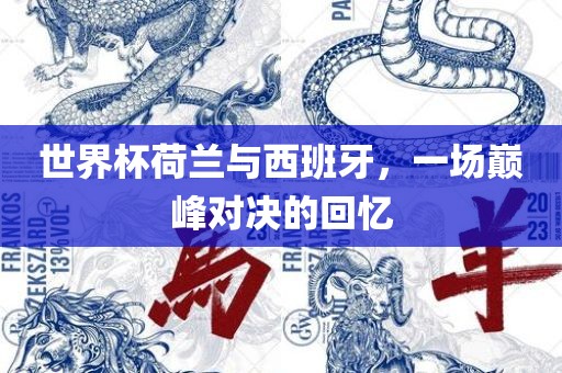 世界杯荷兰与西班牙，一漯河市盈旭机械设备有限公司场巅峰对决的回忆