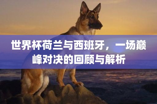 世界杯荷兰与西班牙，一场巅峰对决的回顾漯河市盈旭机械设备有限公司与解析