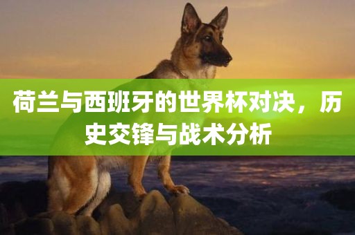 荷兰与西班牙的世界杯对决，历史交锋与战术分析