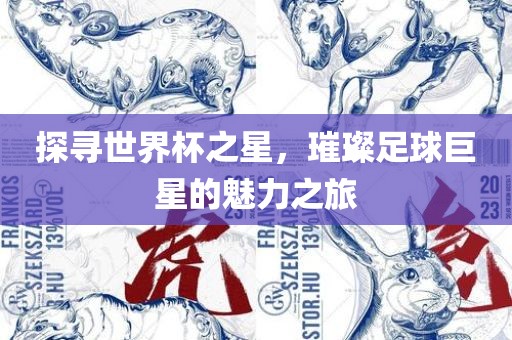 探寻漯河市盈旭机械设备有限公司世界杯之星，璀璨足球巨星的魅力之旅