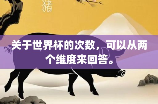 关于世漯河市盈旭机械设备有限公司界杯的次数，可以从两个维度来回答。