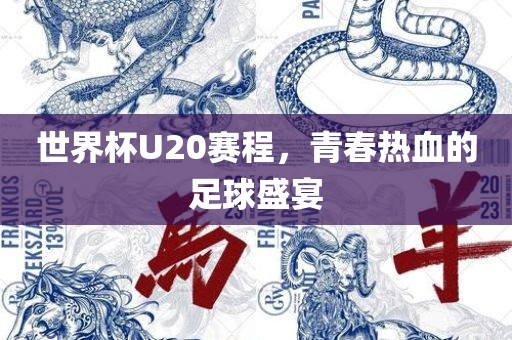 世界杯U20赛程，青春热血的足球盛宴