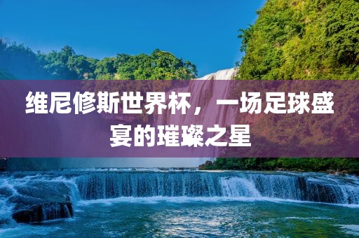 维尼修斯世界杯，一场足球盛宴的璀璨之星漯河市盈旭机械设备有限公司