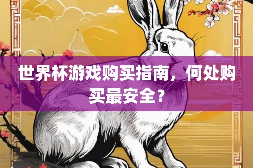 世界杯游戏购买指南，何处购买最安全？