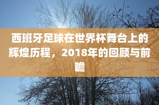 西班牙足球在世界杯舞台上的辉煌历程，2018年的回顾与前瞻漯河市盈旭机械设备有限公司
