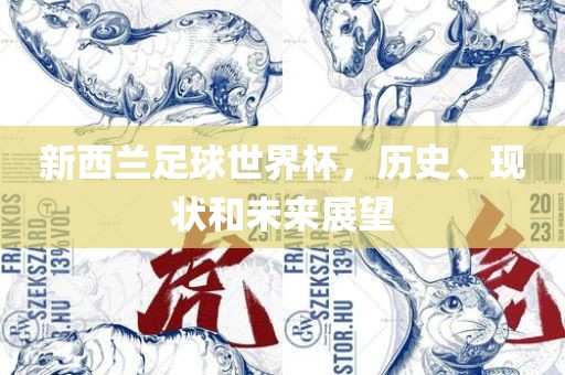 新西兰足球世界杯，历史、现状和未来展望
