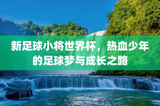 新足球小将世界杯，热血少年的足球梦与成长之路