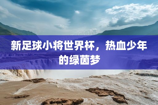 新足球小将世界杯，热血少年的绿茵梦