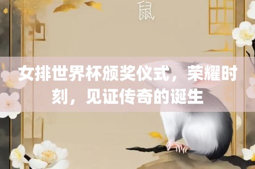 女排世界杯颁奖仪式，荣耀时刻，见证传奇的诞生