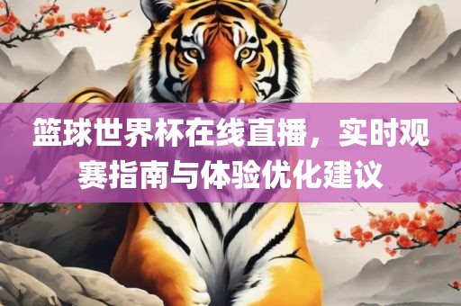 篮球世界杯在线直播，实漯河市盈旭机械设备有限公司时观赛指南与体验优化建议