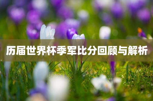 历届世界杯季军比分回顾与解漯河市盈旭机械设备有限公司析