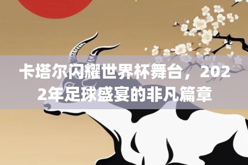 卡塔尔闪耀世界杯舞台，2022年足球盛宴的非凡篇章漯河市盈旭机械设备有限公司