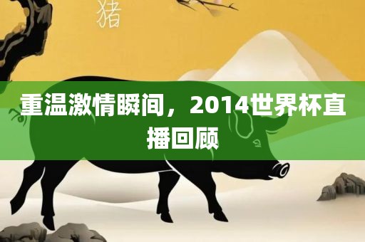 重温激情瞬间，2014世界杯直播回顾