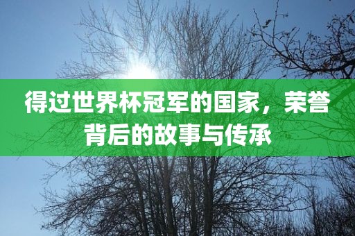 得过世界杯冠军的国家，荣誉背后的故事与传承