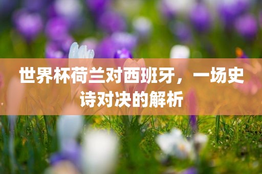 世界杯荷兰对西班牙，一场史诗对决的解析