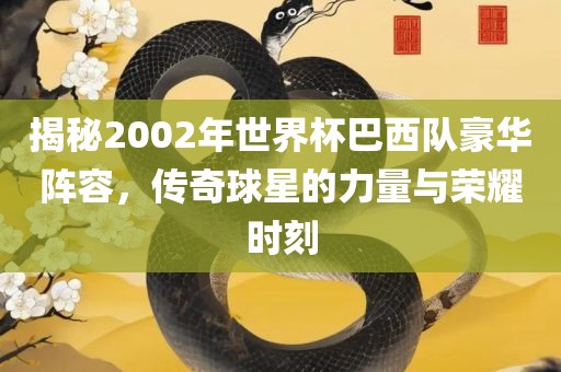 揭秘2002年世界杯巴西队豪华阵容，传奇球星的力量与荣耀时刻