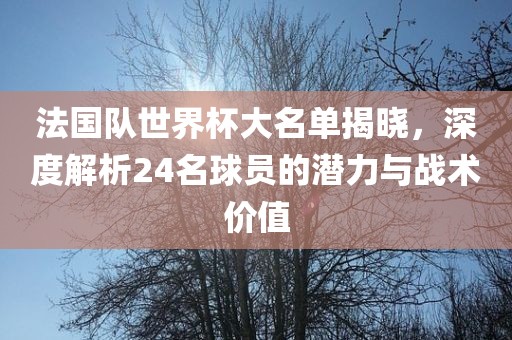 法国队世界杯大名单揭晓，深度解析24名球员的潜力与战术价值漯河市盈旭机械设备有限公司