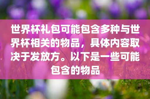 世界杯礼包可能包含多种与世界杯相关的物品，具体内容取决于发放方。以下是一些可能包含的物品
