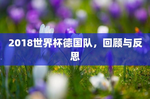 2018世界杯德国队，回顾与反思