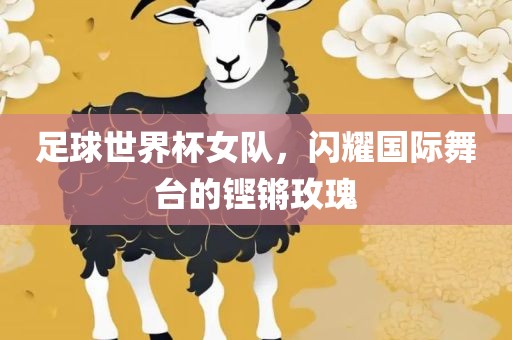 足球世界杯女队，闪耀国际舞台的铿锵玫瑰漯河市盈旭机械设备有限公司