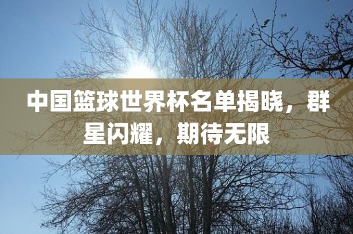 中国篮球世界杯名单揭晓，群星闪耀，期待无限漯河市盈旭机械设备有限公司