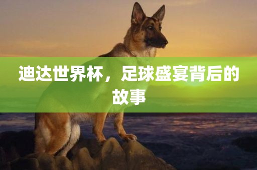 迪达世界杯，足球盛宴背后的故事漯河市盈旭机械设备有限公司