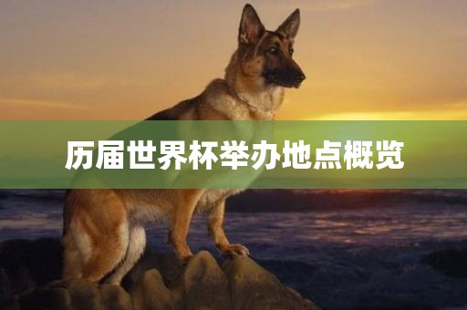 历届世界杯举办地点概览漯河市盈旭机械设备有限公司