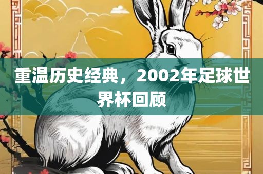 重温历史经典，2002年足球世界杯回顾
