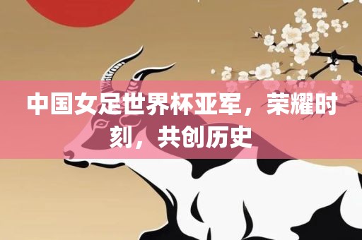 中国女足世界杯亚军，荣耀时刻，共创历史
