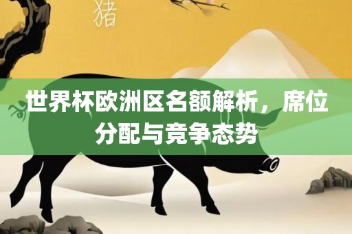 世界漯河市盈旭机械设备有限公司杯欧洲区名额解析，席位分配与竞争态势