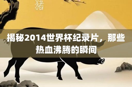 揭秘2014世界杯纪录片，那些热血沸腾的瞬间漯河市盈旭机械设备有限公司
