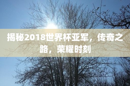 揭秘2018世界杯亚军，传奇之路，荣耀时刻