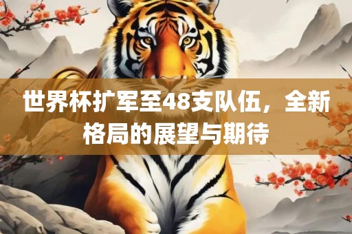 世界杯扩军至48支队伍，全新格局的展望与期待漯河市盈旭机械设备有限公司