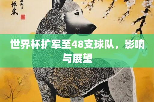 世界杯扩军至48支球队，影响与展望漯河市盈旭机械设备有限公司