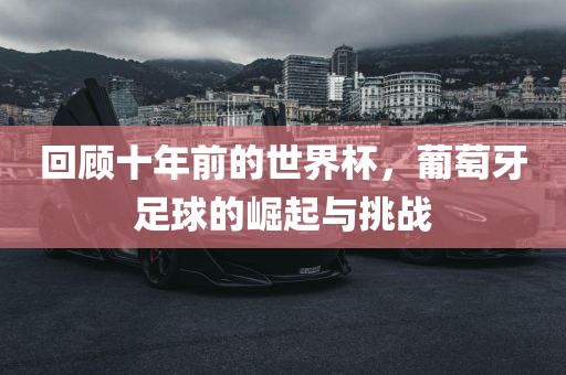 回顾十年前的世界杯，葡萄牙足球的崛起与挑战漯河市盈旭机械设备有限公司