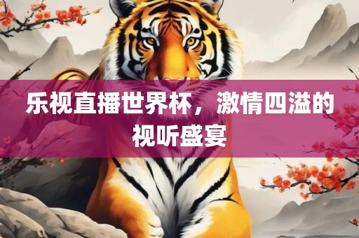 乐视直播世界杯，激情四溢的视听盛宴