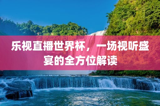 乐视直播世界杯，一场视听盛宴的全方位解读漯河市盈旭机械设备有限公司