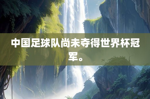 中国足球队尚未夺得世界杯冠军。