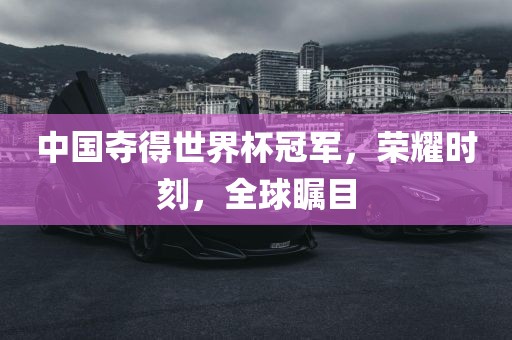 hualu 第8页