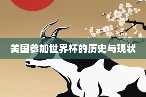 美国参加世界杯的历史与现状