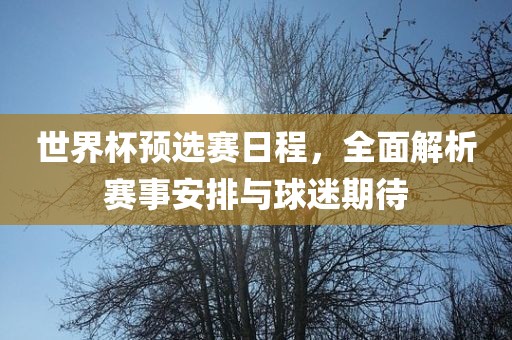 世界杯预选赛日程，全面解析赛事安排与球迷期待