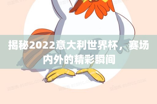 揭秘2022意大利世界杯，赛场内外的精彩瞬间