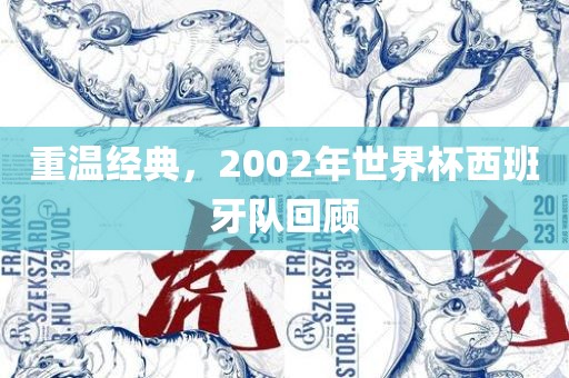 重温经典，2002年世界杯西班牙队回顾