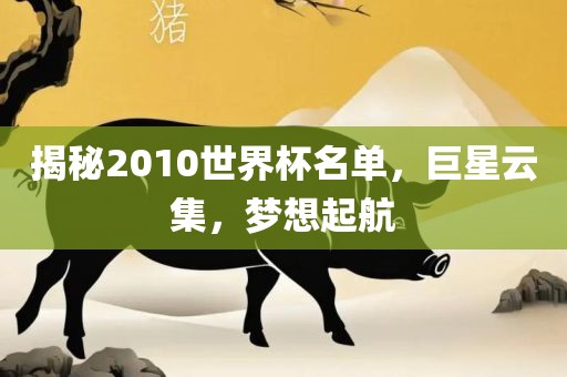 揭秘2010世界杯名单，巨星云集，梦想起航