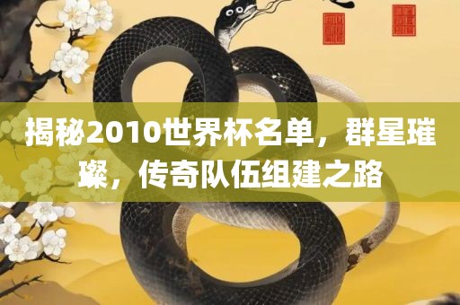 揭秘2010世界杯名单，群星璀璨，传奇队伍组建之路