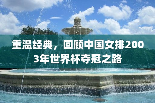 2003年世界杯夺冠之路