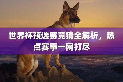 世界杯预选赛竞猜全解析，热点赛漯河市盈旭机械设备有限公司事一网打尽