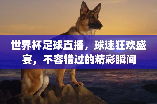世界杯足球直播，球迷狂欢盛宴，不容错过的精彩瞬间