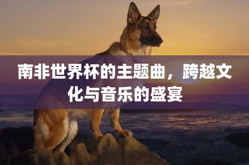 南非世界杯的主题曲，跨越文化与音乐的盛宴