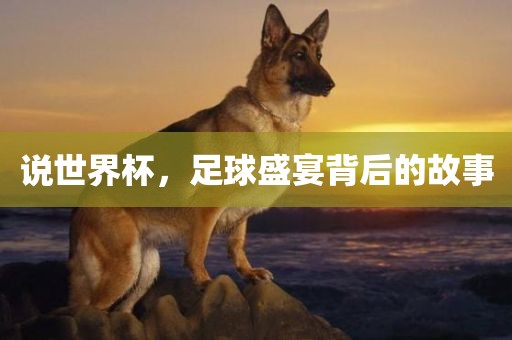说世界杯，足球盛宴背后的故事漯河市盈旭机械设备有限公司